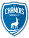 Chamois Niortais FC