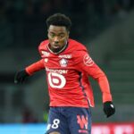 Foot – LOSC Mercato : une demi-douzaine de cadors veulent un Dogue en janvier