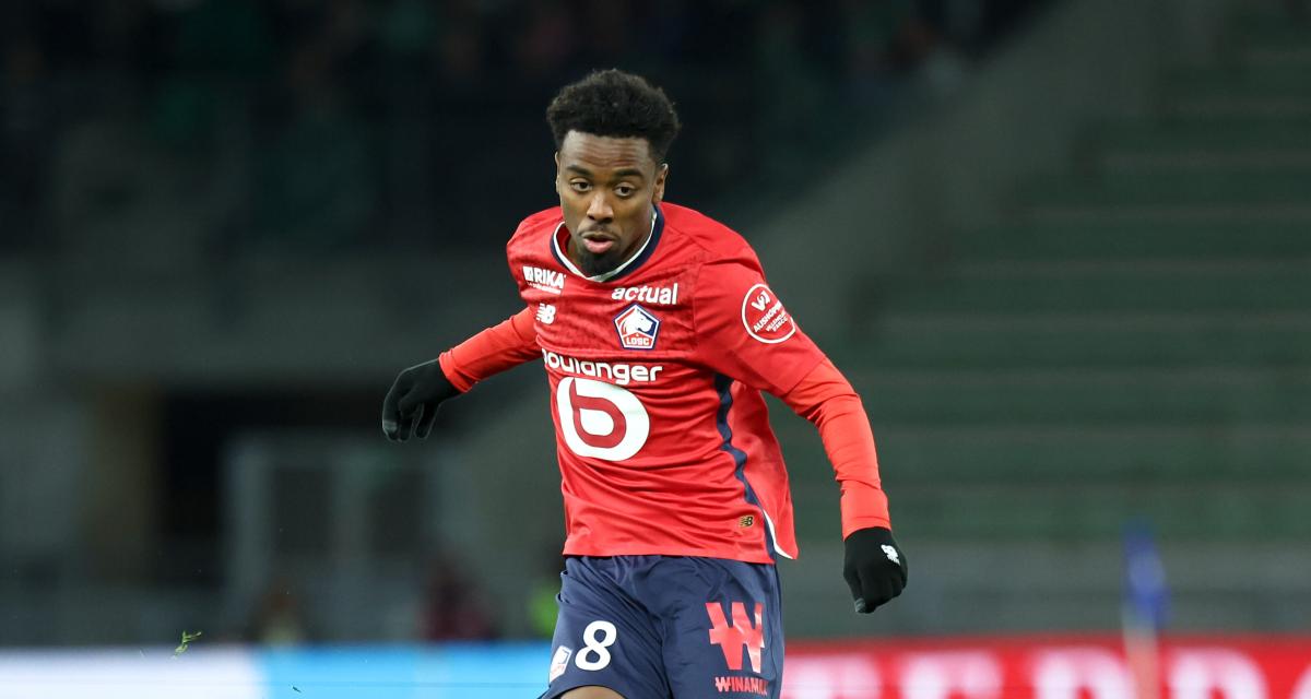 Foot – LOSC Mercato : une demi-douzaine de cadors veulent un Dogue en janvier